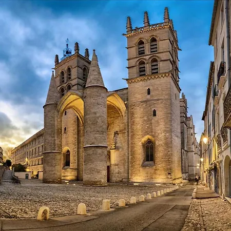 Le Triompha Proche Arc De Triomphe Montpellier